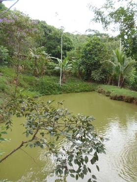 Fazenda à venda com 3 quartos, 200m² - Foto 15