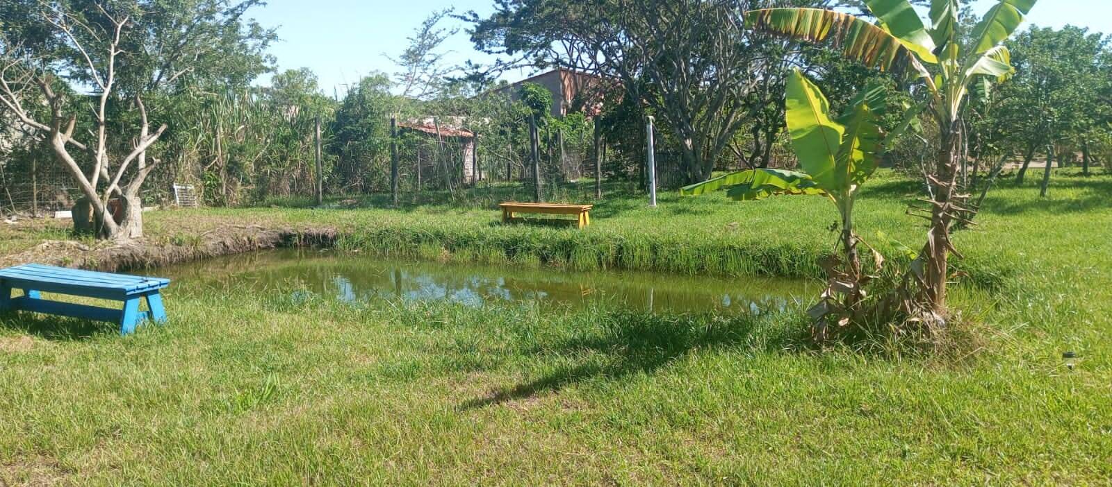 Casa de Condomínio à venda com 3 quartos, 3100m² - Foto 25