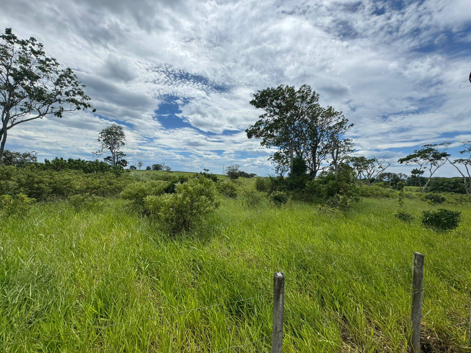 Terreno à venda, 3076m² - Foto 8